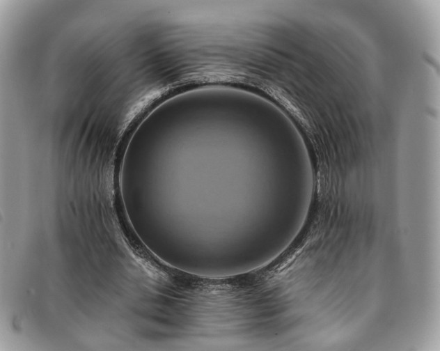 X0000091540438200708171247