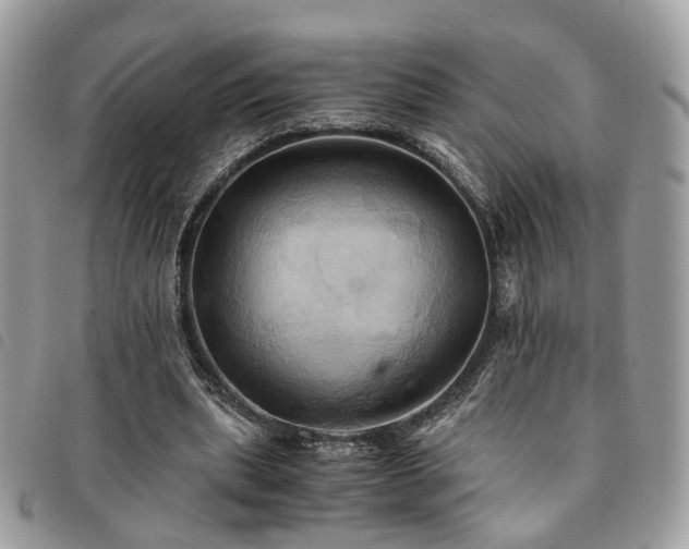 X0000091540439200708171247