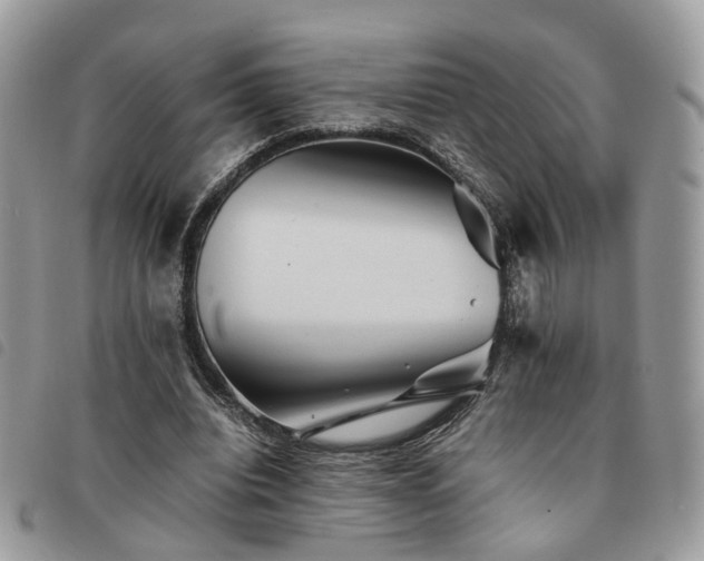 X0000091540440200708171247