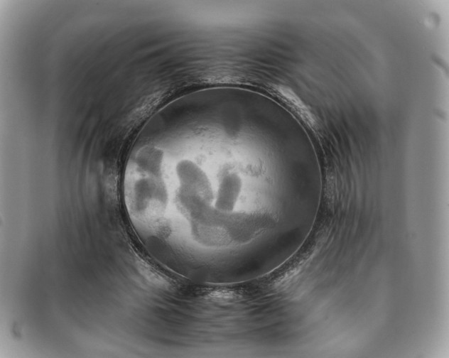 X0000091540441200708171248