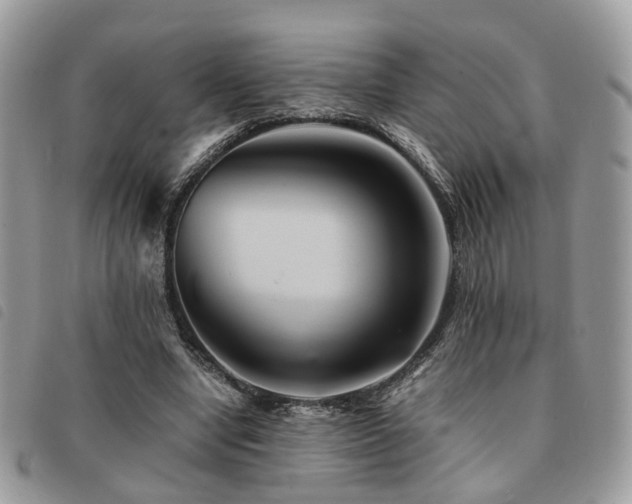 X0000091540442200708171248