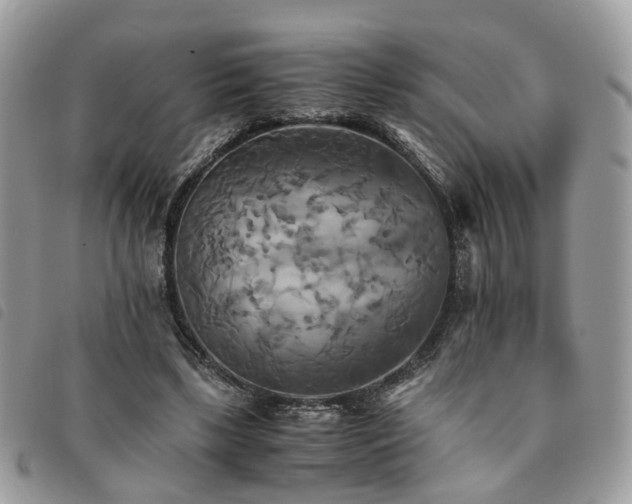 X0000091540443200708171248