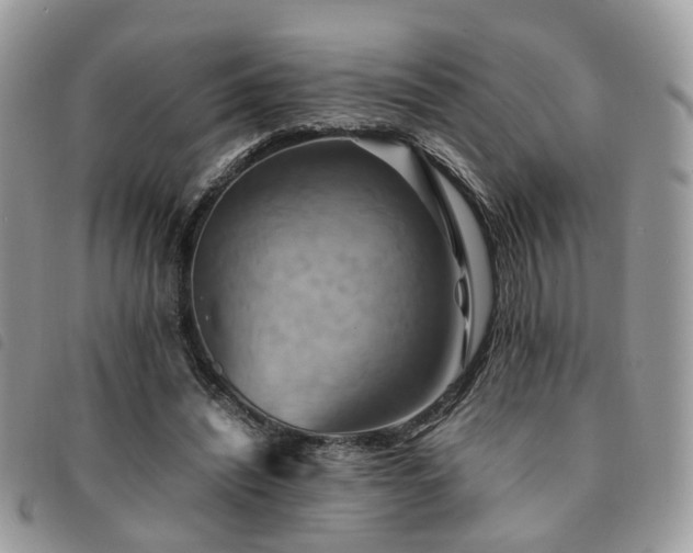 X0000091540444200708171248