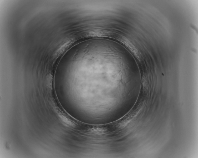 X0000091540445200708171248
