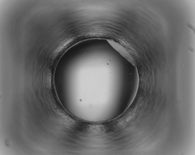X0000091540446200708171248