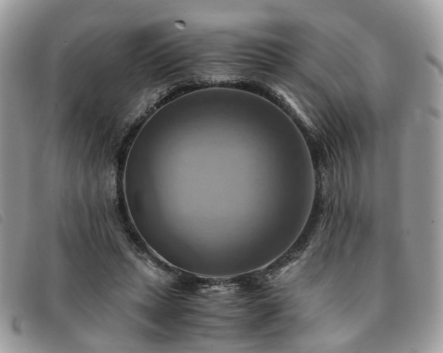 X0000091540447200708171248