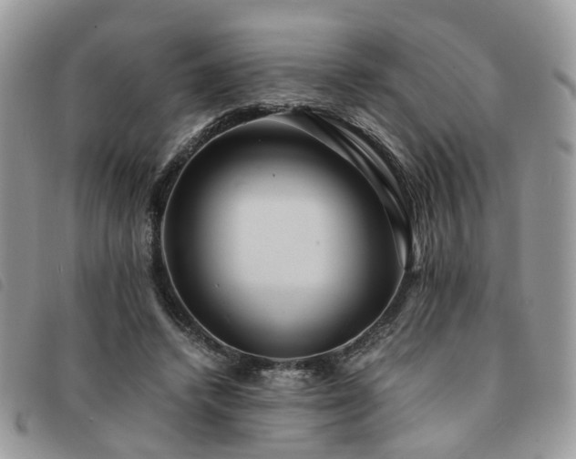 X0000091540448200708171248