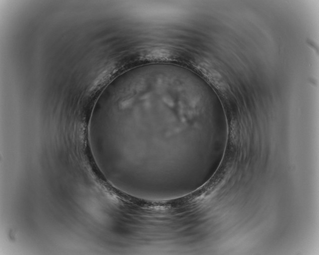 X0000091540449200708171248