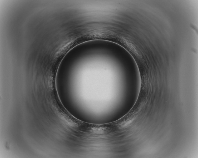 X0000091540450200708171248