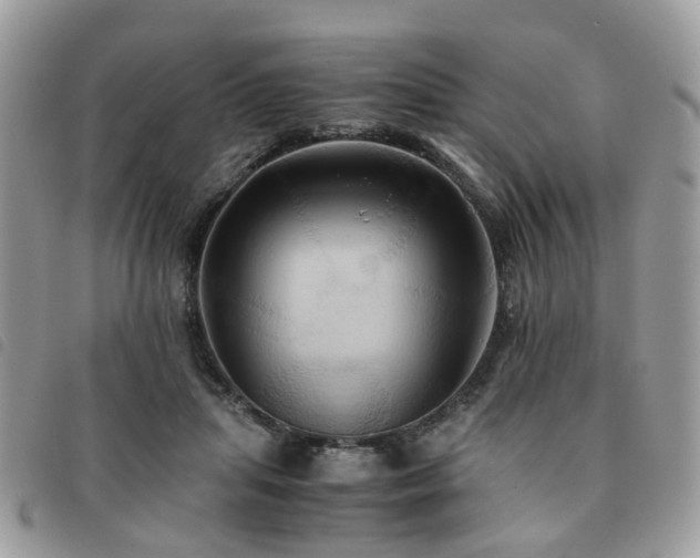 X0000091540455200708171248