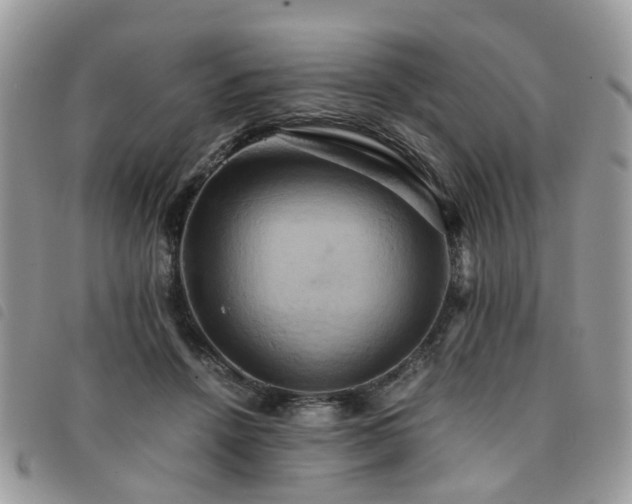 X0000091540456200708171248
