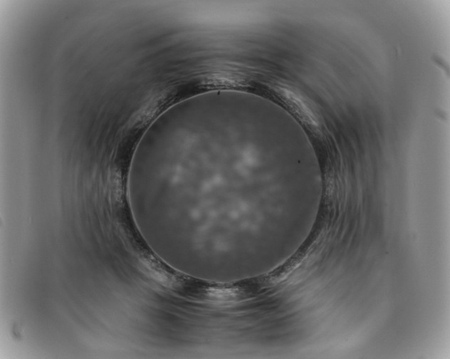 X0000091540457200708171248