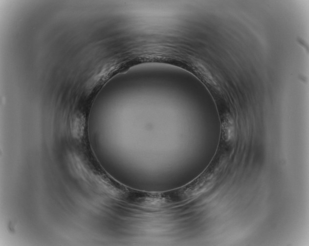 X0000091540458200708171248