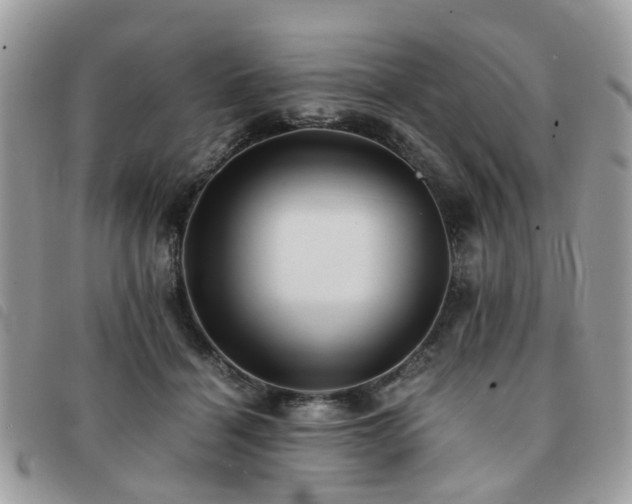 X0000091540460200708171248