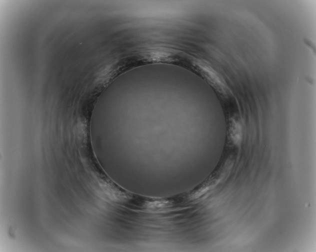 X0000091540461200708171248