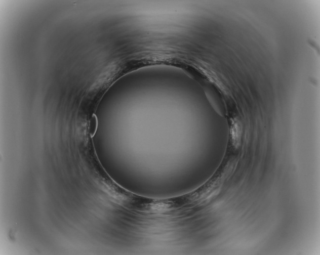 X0000091540462200708171248