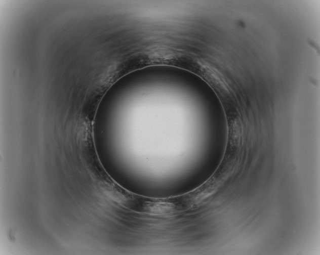 X0000091540463200708171248