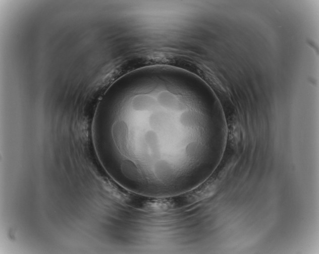 X0000091540466200708171248