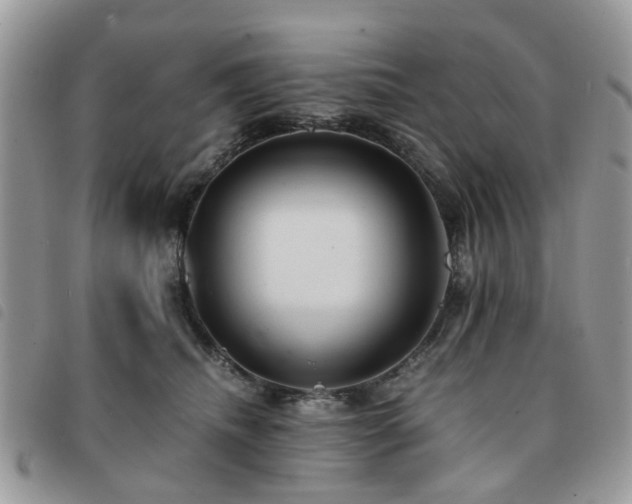 X0000091540468200708171248