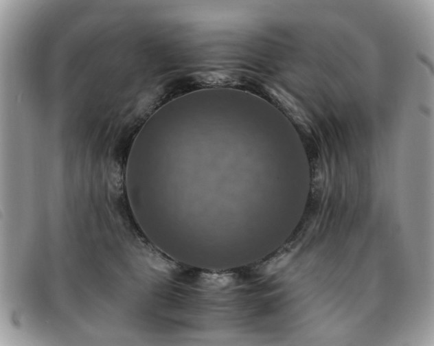 X0000091540469200708171248