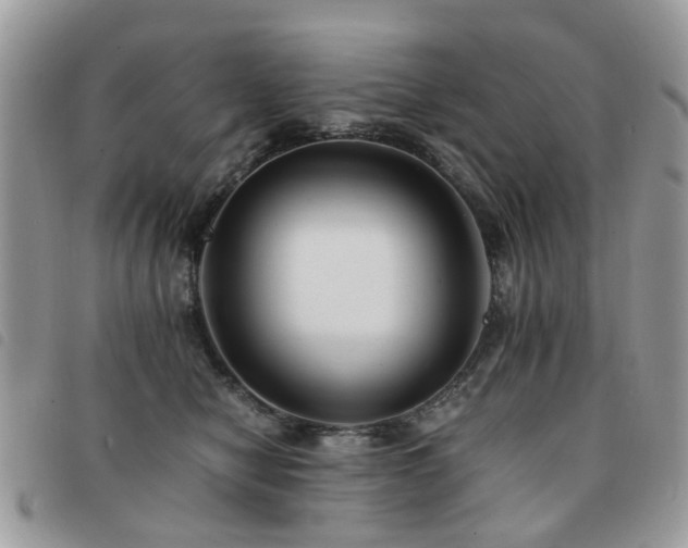 X0000091540470200708171248