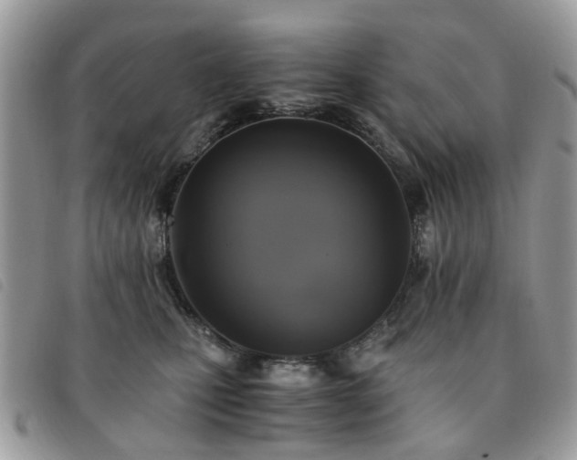 X0000091540471200708171248