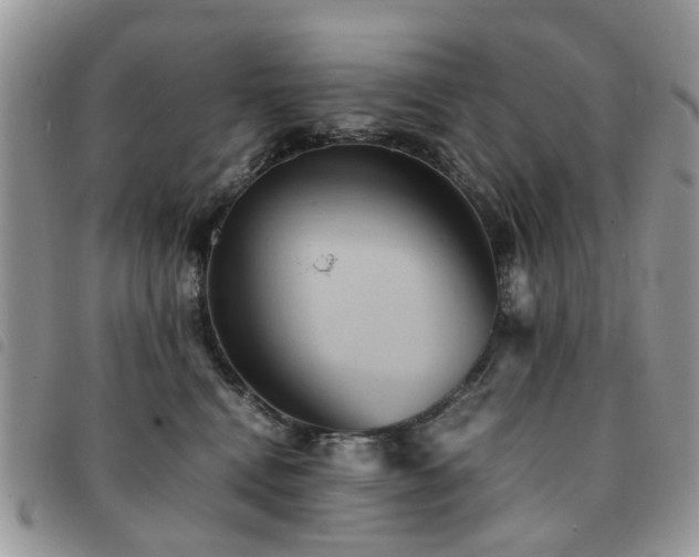 X0000091540472200708171248