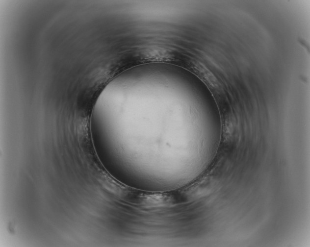 X0000091540473200708171248