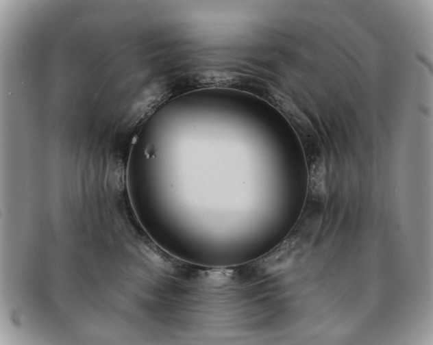 X0000091540474200708171248