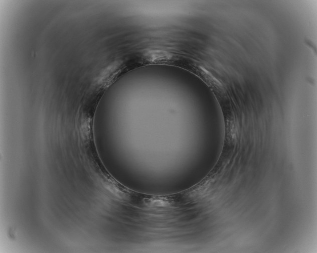 X0000091540475200708171248