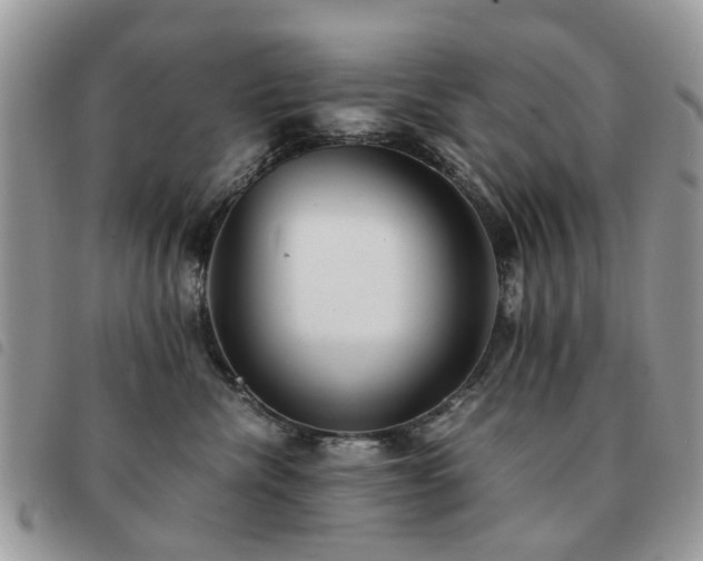 X0000091540476200708171248