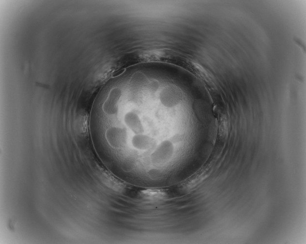 X0000091540477200708171248