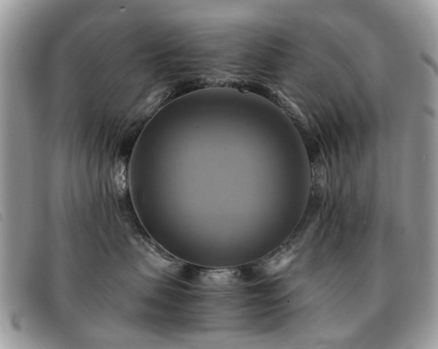 X0000091540479200708171248