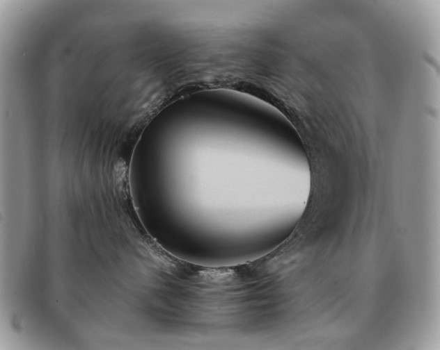X0000091540480200708171248