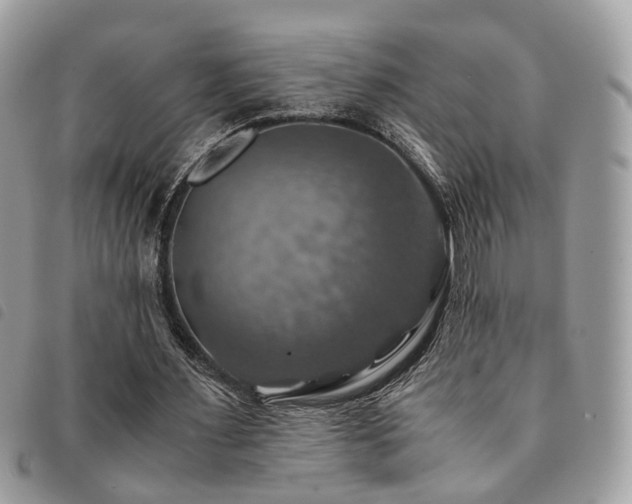 X0000091540483200708171247