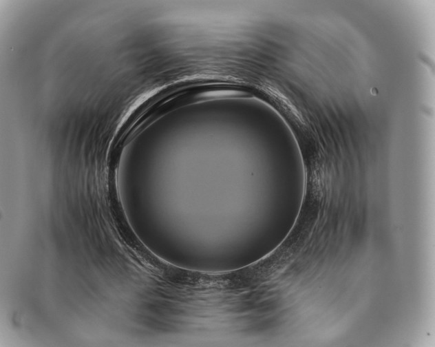 X0000091540484200708171247