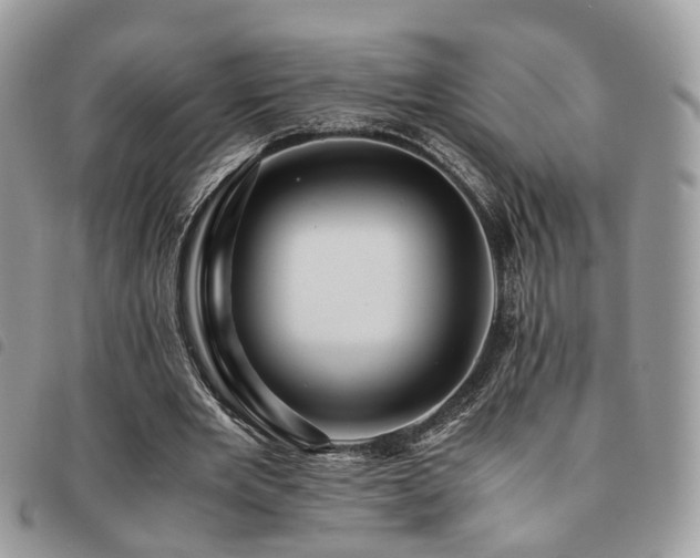 X0000091540485200708171247
