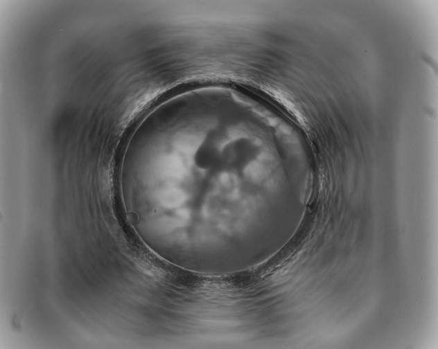 X0000091540487200708171247