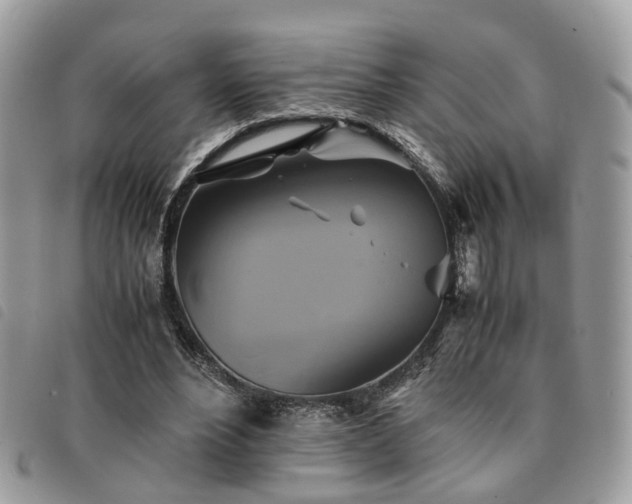X0000091540488200708171247