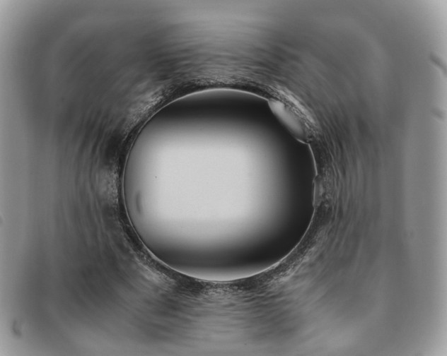 X0000091540489200708171247