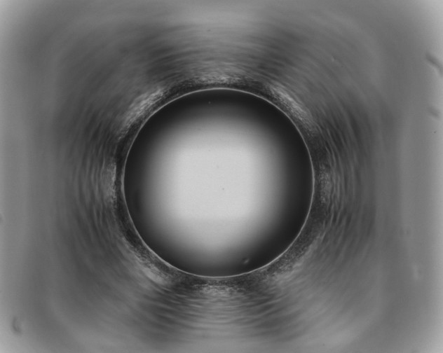 X0000091540490200708171247