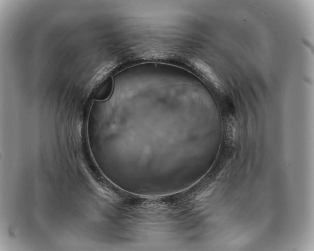 X0000091540491200708171247