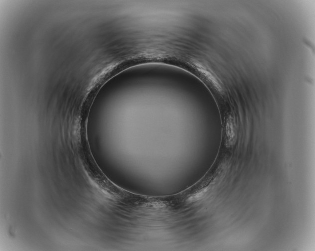 X0000091540492200708171247