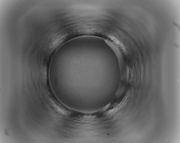 X0000091540493200708171247
