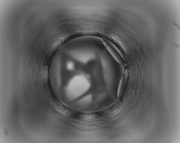 X0000091540495200708171247