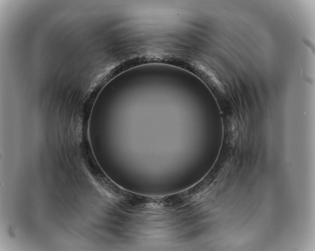 X0000091540496200708171247