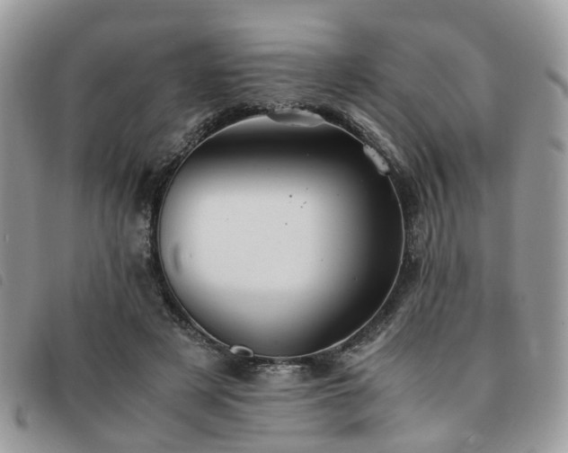 X0000091540497200708171247