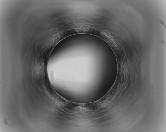 X0000091540498200708171247