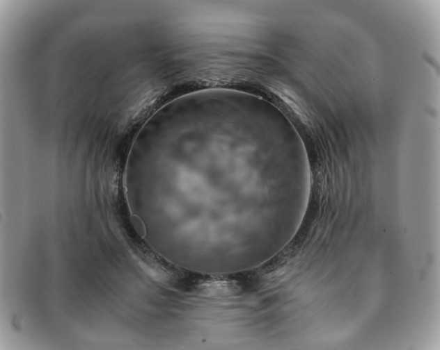 X0000091540499200708171247