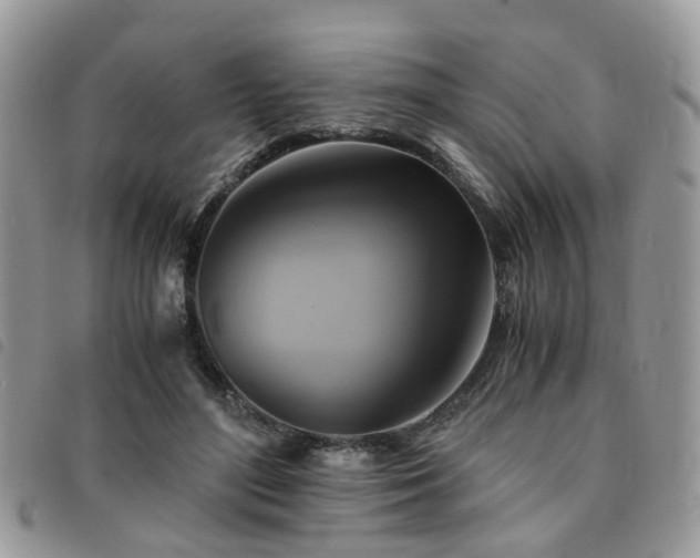 X0000091540500200708171247